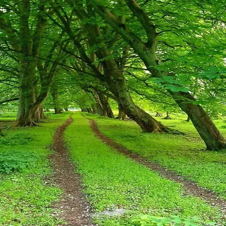 In Nahe Ostseestrand Appartement Boltenhagen (Ostseebad)