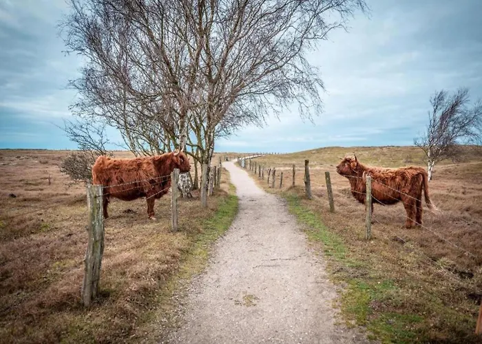 In Nahe Ostseestrand * Boltenhagen