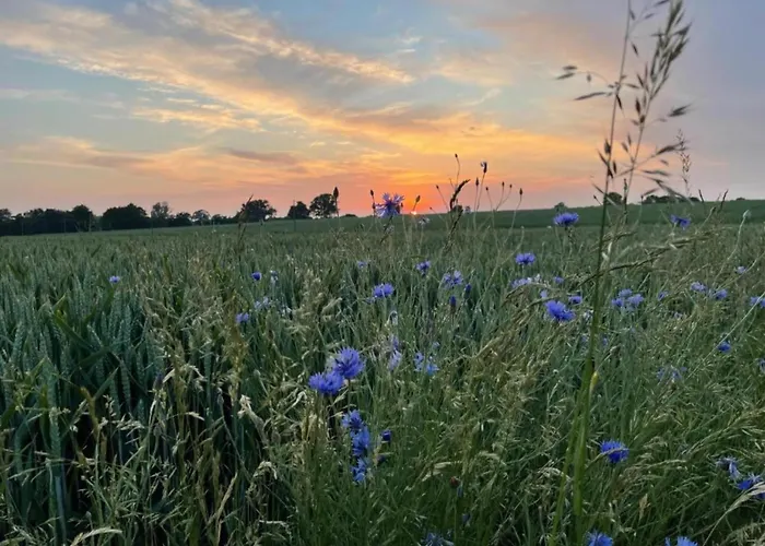 Apartment In Nahe Ostseestrand