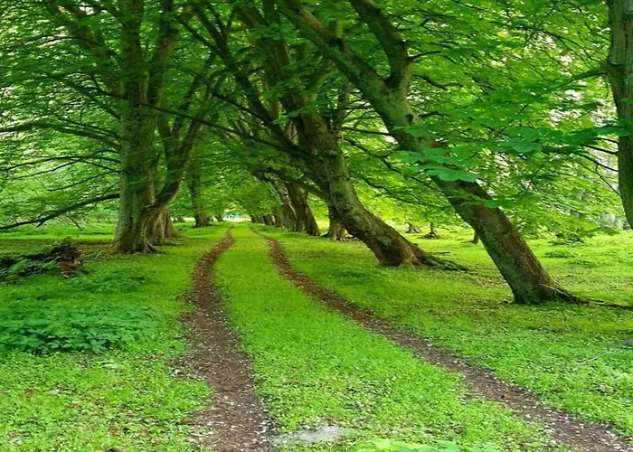 In Nahe Ostseestrand Apartment Boltenhagen